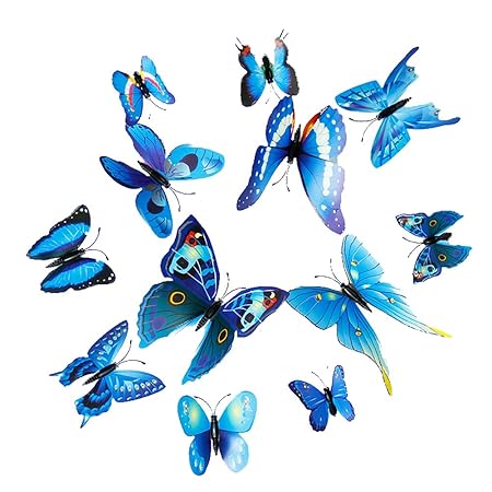 Feli546Bruce Imanes para Nevera, autoadhesivos, 12 Unidades, con ...