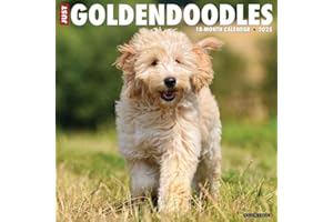 Just Goldendoodles 2025 12" x 12" Wall Calendar