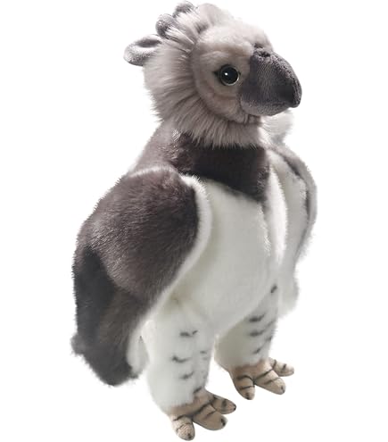 Harpy Eagle Wingspan Teddy harpy-eagle-wingspan-teddy