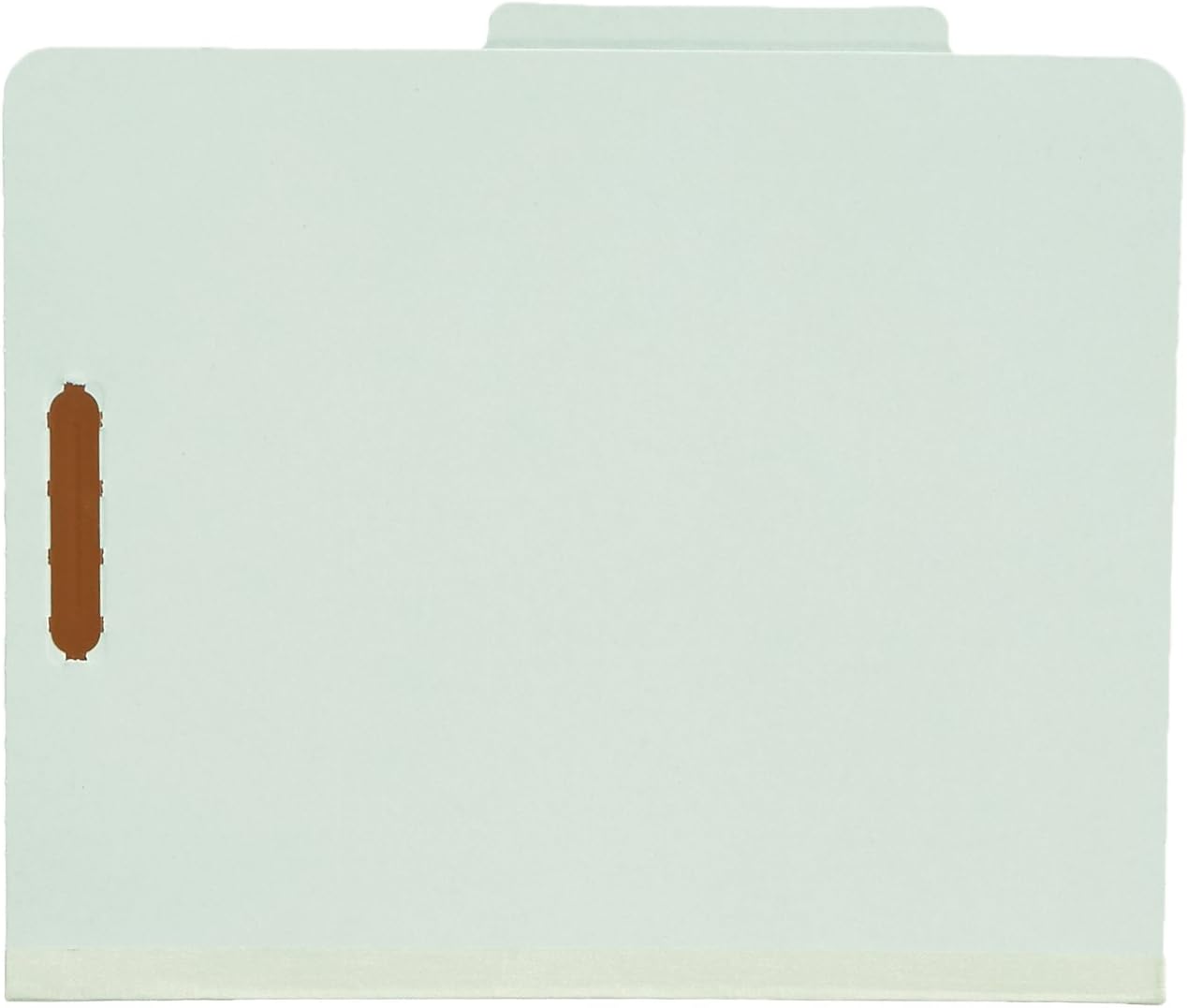  Basics Pressboard Classification File Folder with Fasteners, 2 Dividers, 2 Inch Expansion, Letter Size, Green, 10-Pack : Office Products