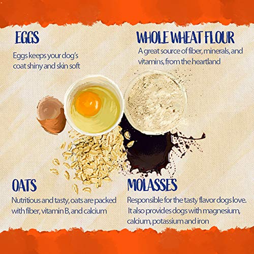 Blue Dog Bakery Natural Dog Treats (18oz - 3 Pack) Maple Bacon, Pumpkin, Peanut Butter Molasses - Variety Pack