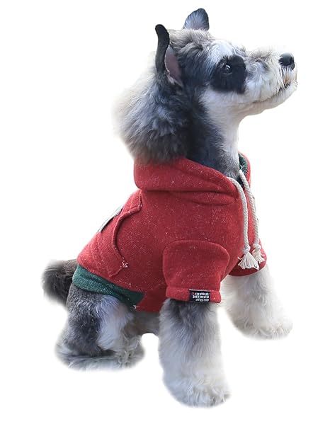 chinese crested breeder near me