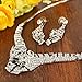 EVER FAITH Women's Austrian Crystal Enamel Tiger Lover Necklace Earrings Set Clear Silver-Tone