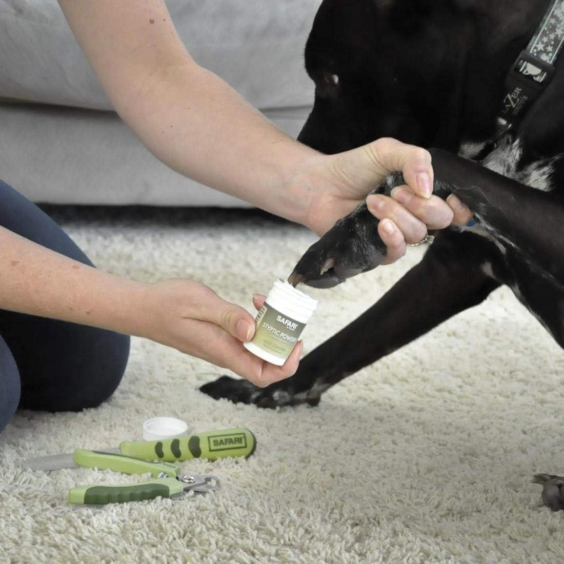 Pet Nail Clippers : Coastal Pet Products DCPW6112 Stainless Steel Safari Diamond Dog Nail File