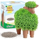 Sheep Chia Decorative Pottery Planter