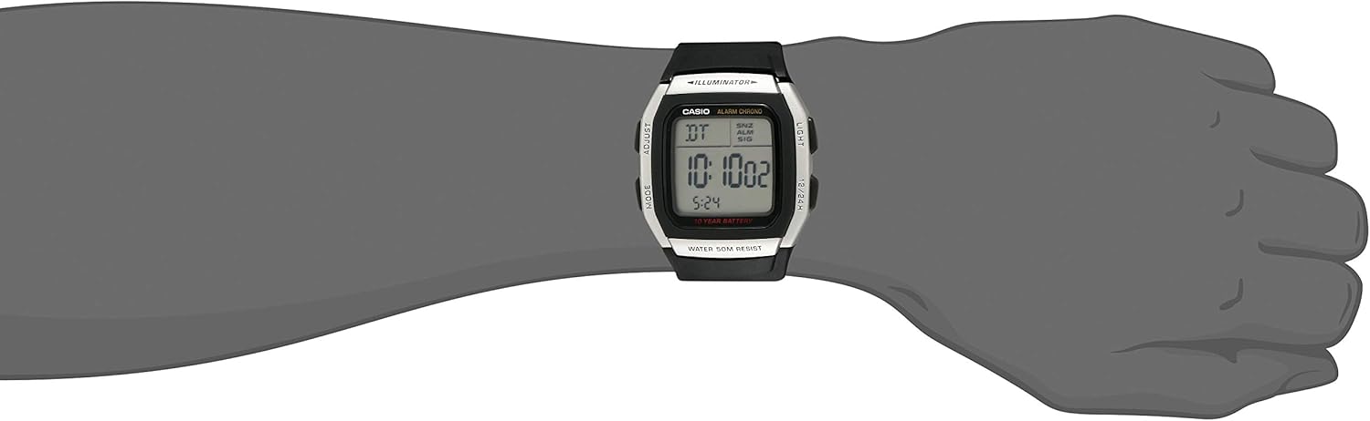 casio d031