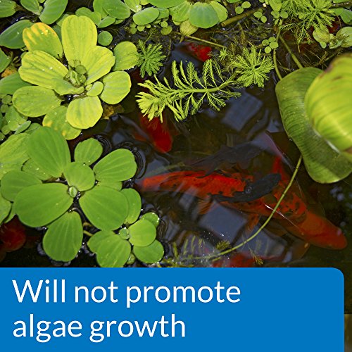 API POND pH DOWN Pond Water pH Reducing Solution 16Ounce Bottle, White