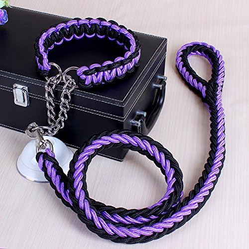ACCENTORY Dog Nylon Adjustable Loop Slip Leash Rope Lead 1.2m Pet Products Remington Rope Slip Dog Leash 6-Feet Training Leashes (XL(2.5cm), black-purple)