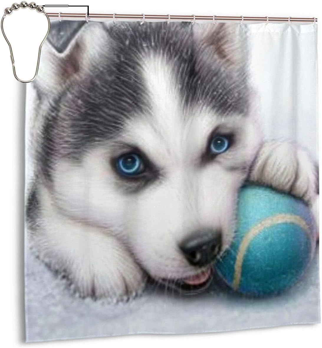 cute baby siberian husky