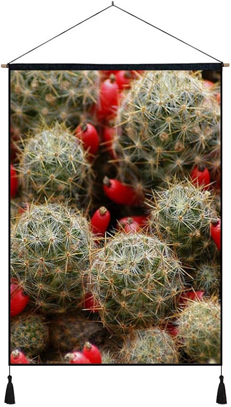Amazon Co Jp 45cmx65cm 綿の麻 タペストリー 多機能 掛け軸 掛け物 サボテン花いばら観葉植物 個性 掛け軸 掛け物 掛けじく ポスター インテリア 組立式 部屋飾り壁 壁飾り ホーム キッチン