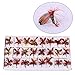 Sougayilang Bass Salmon Trout Colorful Assortment Dry Fly Fishing Flies Fly Fishing Lures Streamer, Nymph, Emerger with Waterproof Fly Box-48PCS