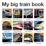 Cover for 9780312514778