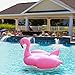 Pink Flamingo Pool Float & Tube - HUGE 80