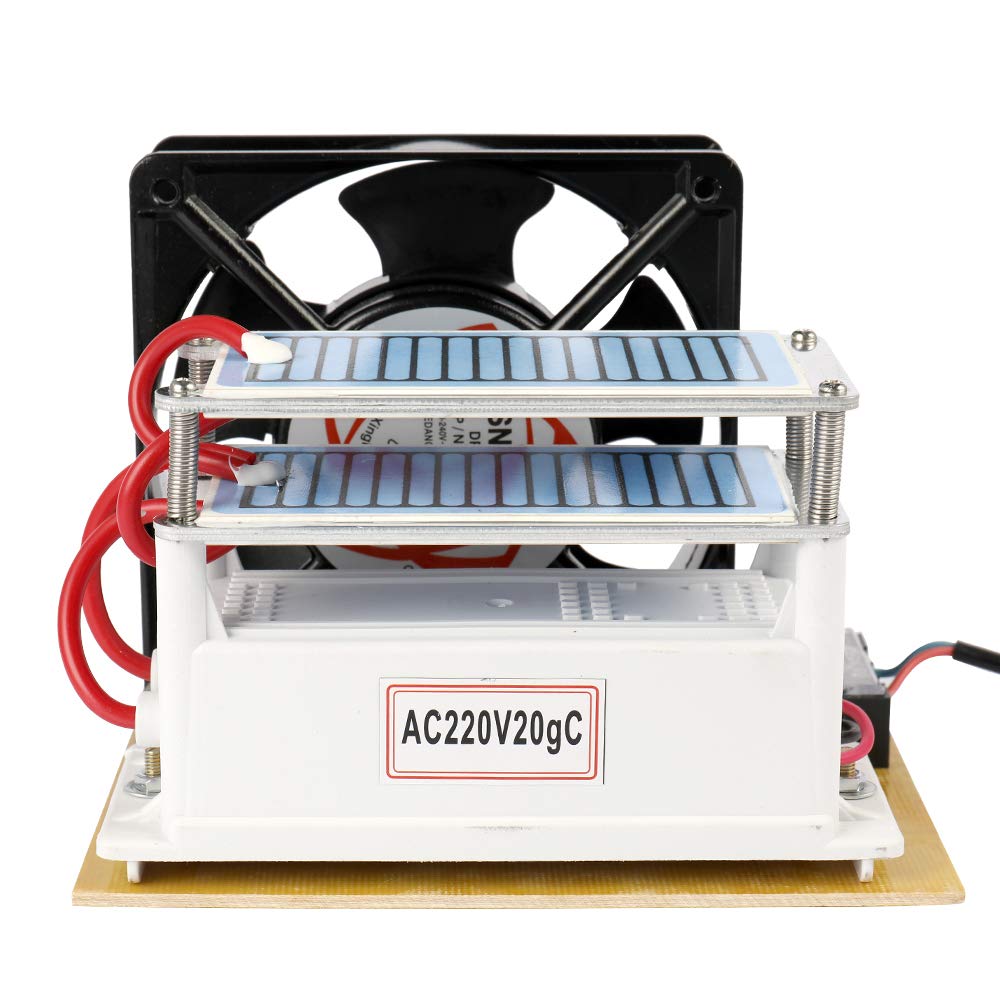 Leepesx - Generador de ozono portátil (20 g/h, 220 V): Amazon.es ...