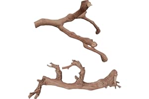 BNOSDM 2PCS Reptile Wood Branches Decor,Lizard Habitat Natural Wood Decoration,Snake Climbing Branch Accessories,Terrarium Tree Trunk Ornament for Bearded Dragon Gecko Frog Chameleon Spider
