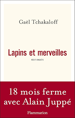 Download Lapins et merveilles (DOCS, TEMOIGNAG) PDF