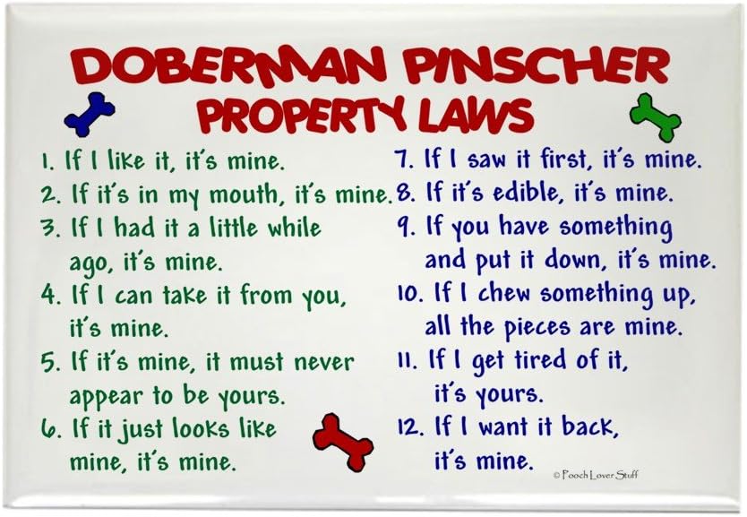 The 4 Best Notebook Doberman Refrigerator