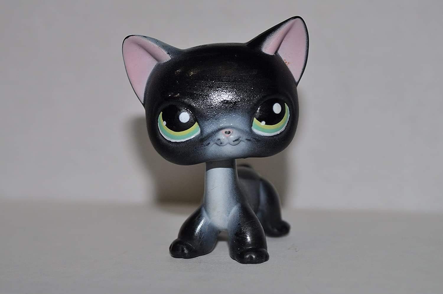 lps black shorthair