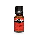 Campfire Fragrance Oil - Premium Grade Scented Oil - 10ml