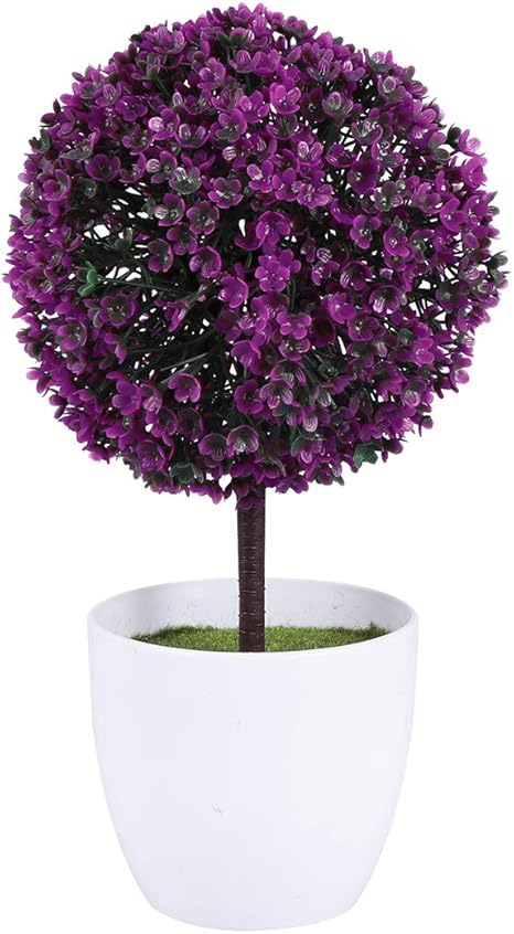 vosarea linda planta de plantas