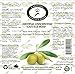 Castile Soap Liquid Unscented - 16 oz Vegan & Pure Organic Soap - Carolina Castile Soap - Concentrated Non Drying All Natural Formula Good for Sensitive Skin