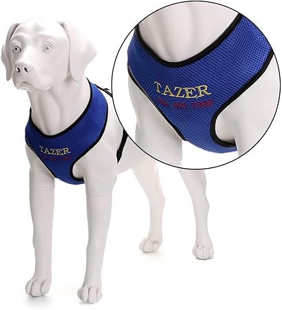 personalized harness
