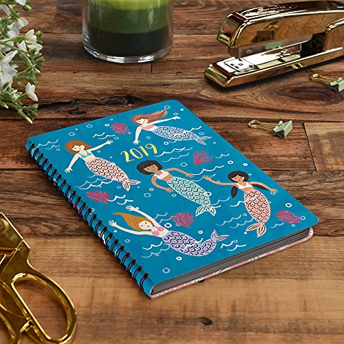 Orange Circle Studio 2019 On-Time Weekly Planner, August 2018 - December 2019, Potpourri
