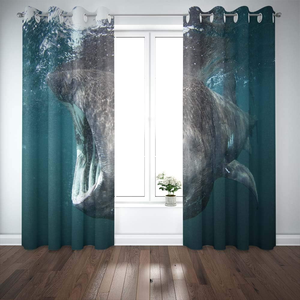 Shorping 52X84 Inch 3D Window Curtains, Privacy Window Curtain Shark Island Scotland Cetorhinus Maximus Coll Window Blackout Curtains for Bedroom,2 Pc