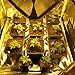 WENFENG Grow Tent 48”x48”x80”, Hydroponic Garden Tent with Heavy Duty Anti-Burst Zipper, 600D Mylar Waterproof Floor Tray for Indoor Plant Growing