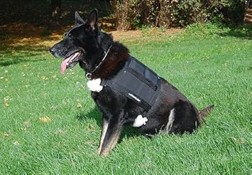 weighted vest for small dogs