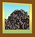 Worm Composting (