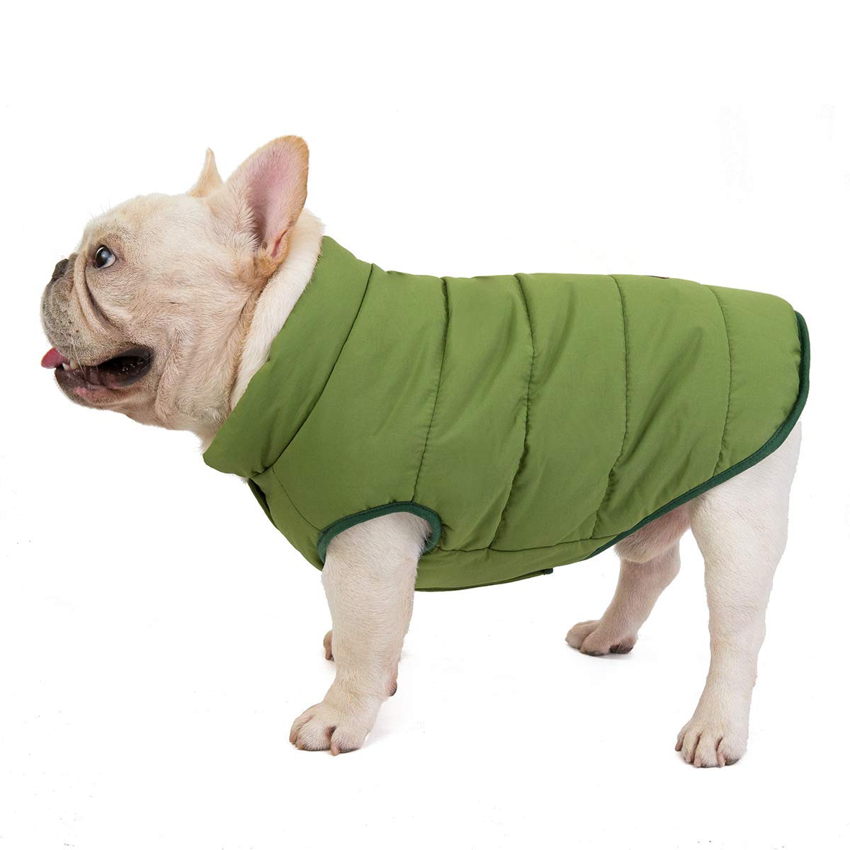 Izefia Dog Coat Cold Weather Coat Windproof Jacket Fleece Warm Dog Vest Winter Thick Clothes Dog Coat for Small Dog Bulldog Medium Cat 1C-Green XL