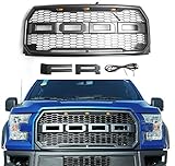 Paramount Restyling 41-0157 Raptor-Style Packaged Grille (15-16 Ford F-150)