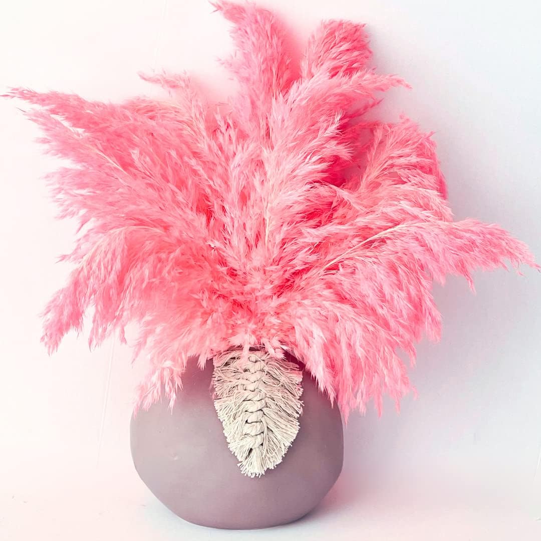 Dried & Preserved Flora - (10 Units) Candy Pink Pampas Grass Decor (17.5 inch) Hot Pink Pampas Grass Fluffy. Boho Dried Pink Pampas Grass Decor, Pink Pampas in Bulk. by AlobyC® (Pink | 10 pcs | 17 inch)