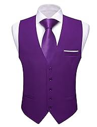 Barry.Wang Mens Purple Vest Formal/Leisure V-neck