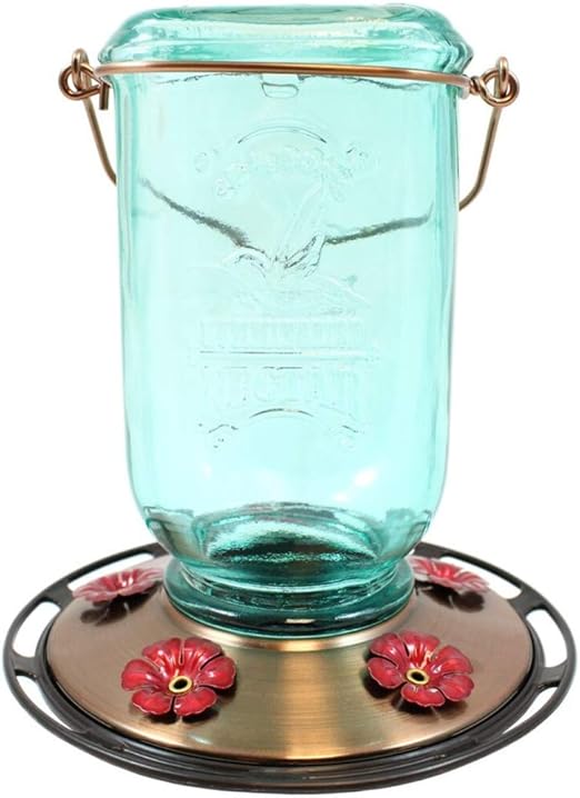 Amazon Com More Birds Mason Jar Hummingbird Feeder Glass Bottle