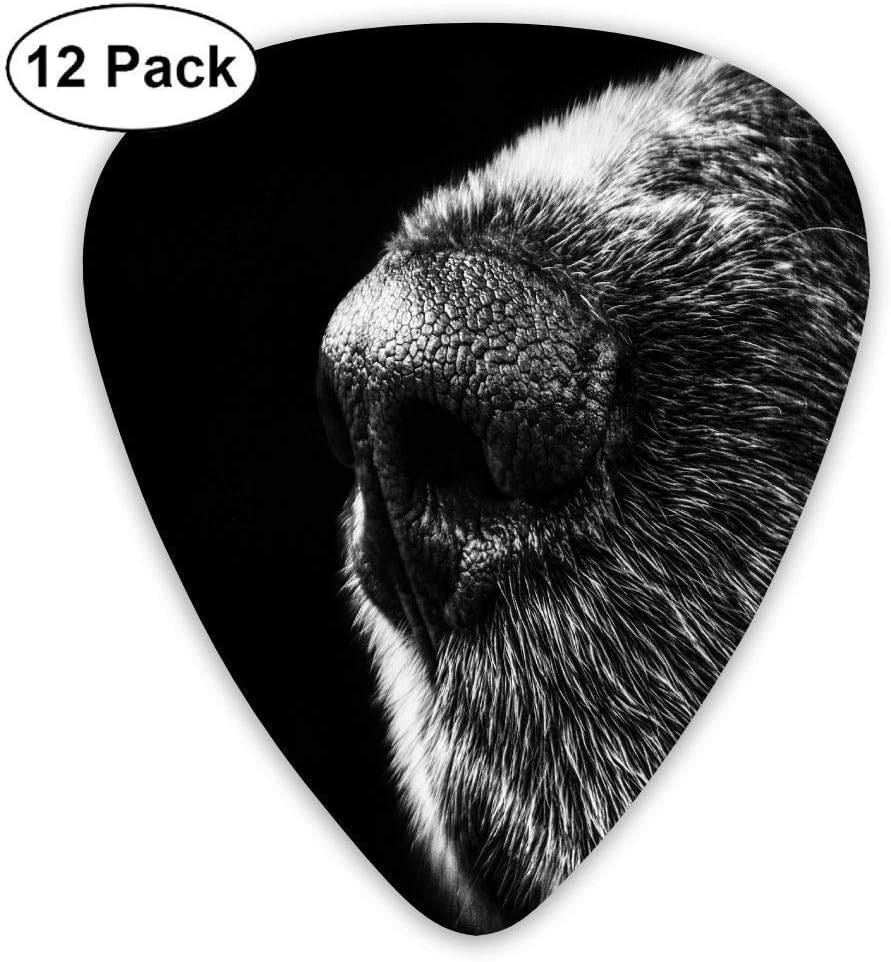 Dogs 12-Pack Multicolor Celluloid Guitar Picks Custom Guitar Gift