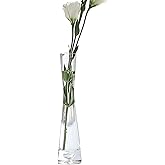 Hand-Made Blown Art Bud Glass Vase Small Glass Vase Single Stem Vases for Flower Bud Home Decor 20cm Height (Clear)