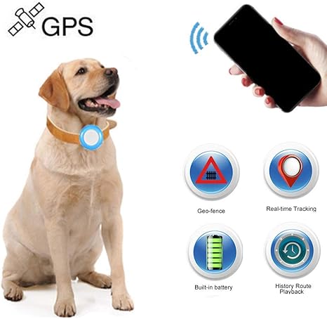 Traceur Gps Enfant Chien Chat Winnes Gps Tracker