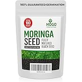 100 Moringa Seeds Approx | Moringa Seeds for Planting | Excellent Germination | Premium Grade PKM1 | Semillas de Moringaa Seed | Malunggay