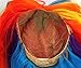 My Little Pony Rainbow Dash Costume Wig with Ears by elope