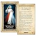 The Chaplet of the Divine Mercy Laminated Holy Card - Pack of 25