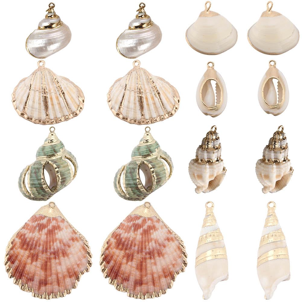 SUNNYCLUE 1 Box 16Pcs 8 Styles Natural Shell Charms Bulk Seashell Charm Summer Ocean Beach Conch Cowrie Scallops Beads Shells Marine Sea Charms for Jewellery Making Charm Earrings Necklaces DIY Crafts