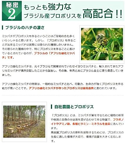 Amazon 医薬部外品 プロポリス配合 薬用 歯磨き粉 プロポデンタルex 80g 歯周病 予防 口臭 ケア ホワイトニング 5本 ミニサイズ2本 プロポデンタル 大人用ハミガキ粉 通販