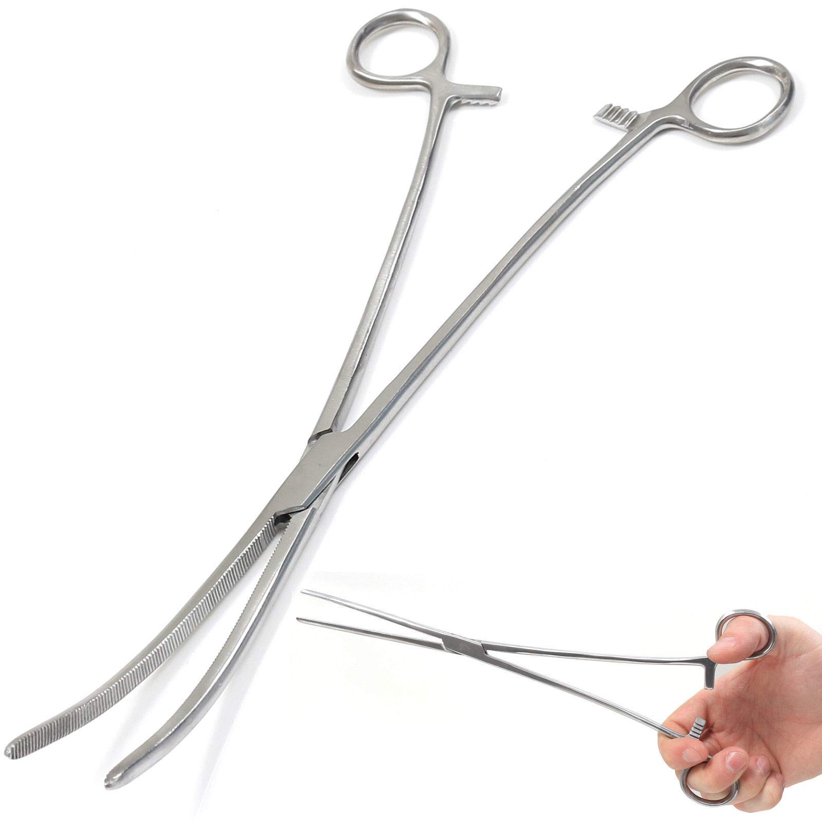 Stainless Steel 6'' 8'' 10'' 12'' Straight or Curved Fishing Forceps Carp Sea Fly (10'' Curved)