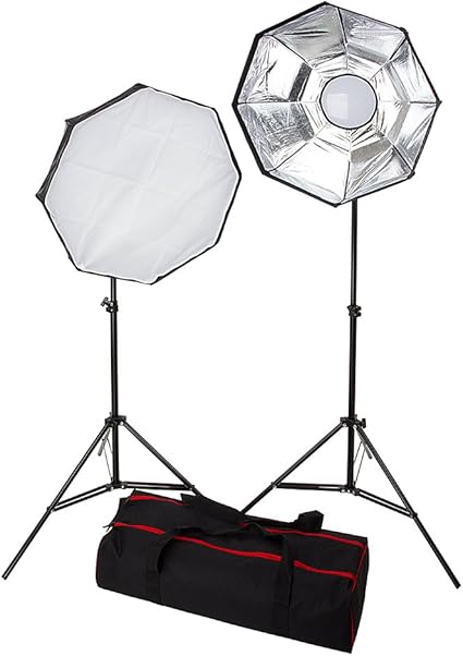 Fotodiox LV460; Kit de iluminación de 2 Luces LED para Fotos y vídeos, Caja de luz