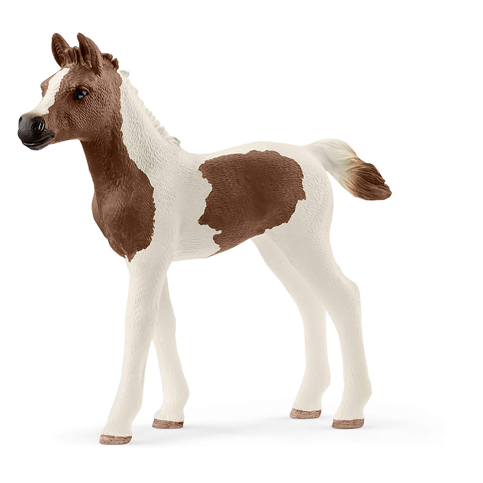 SCHLEICH 13839 - Horse Club Pintabian foal
