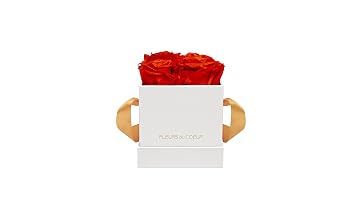 Fleurs Du Coeur Infinity Boîte à Roses Blanche Différentes Formes Et Roses