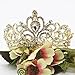 Ollacy Gold Silver Crystal Heart Rhinestone Headband Crown for Cake Topper Party Wedding Princess Headpiece Tiara (Gold)