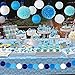XFunino 18 Pcs Tissue Paper Flowers Pom Poms Decorations Theme Paper Lanterns Polka Dot Four Leaf Hanging Paper Garland 11.8ft for Baby Shower Wedding Birthday Party Supply, Blue